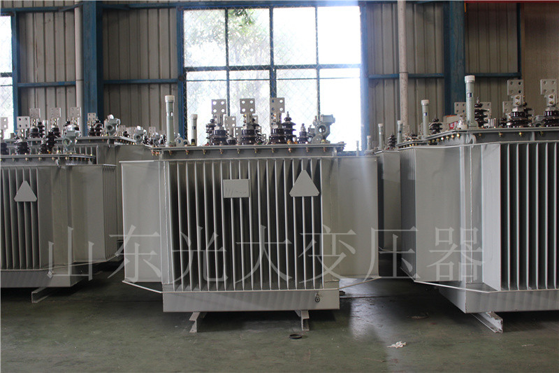 临西S20-500KVA/10KV